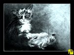SweetKiller