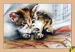 Kitty