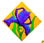 Irys3