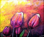 Tulipany Tulipany