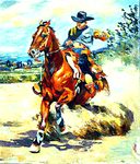 Rodeo
