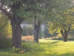 VI I OGÓLNOPOLSKI PLENER PLASTYCZNY