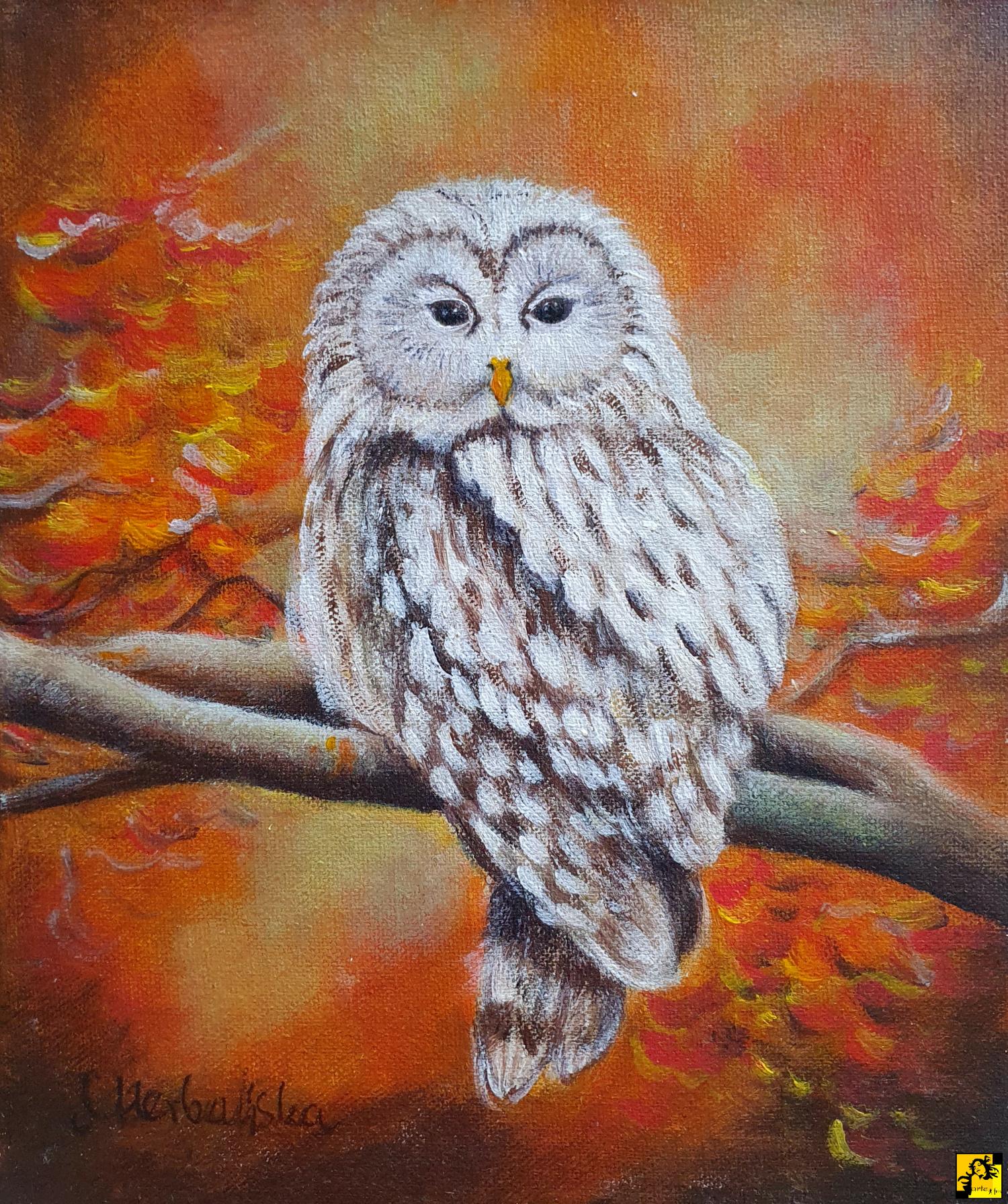 Sylwiana Herbańska: 