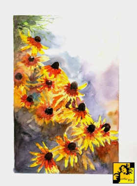 Rudbekie