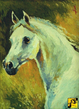 Głowa konia