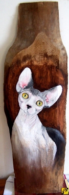 sphynx
