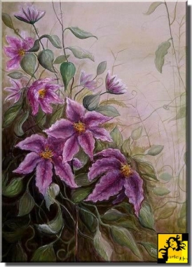 Klematis