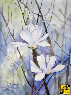 magnolia