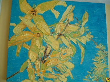 Forsycje 