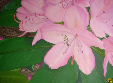 Rododendron