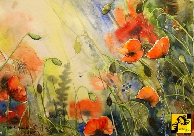 Poppies