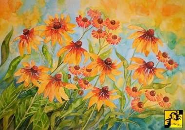 Rudbekie