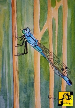 Ważka II