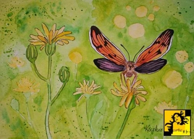 Motyl I