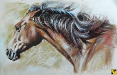 horse