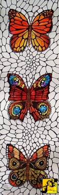 Butterflys