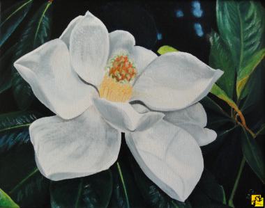 Kwiat magnolii