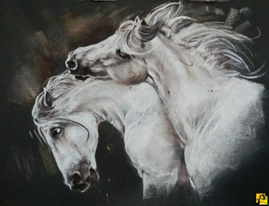 white horses