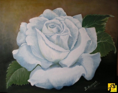 ROZA