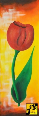 Popołudniowy Czerwony Tulip