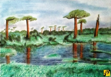 Drzewa Baobabu