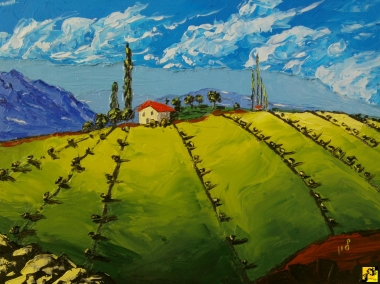 Olive grove