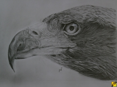 Eagl