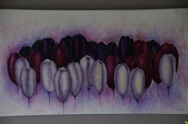 Tulipany 3 kolory