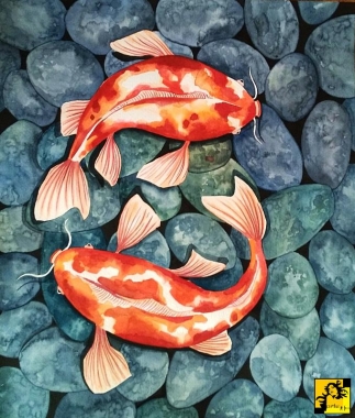 Ryby Koi