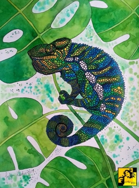 kameleon