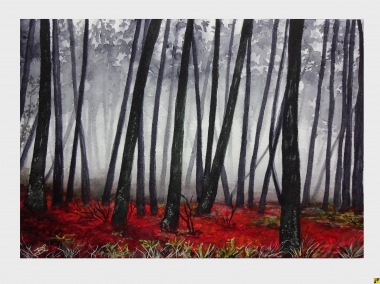 Foggy Forest