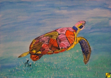 Zółw morski