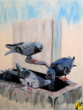 Birds