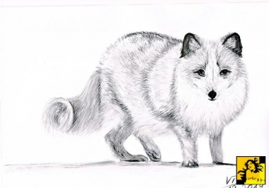 Lisek