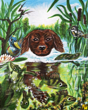 Life in Nikita’s view 