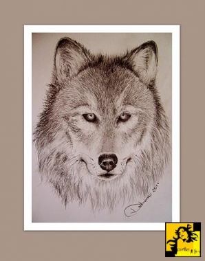 Wilk
