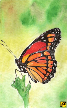 Monarch