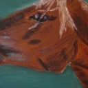 konik