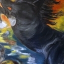 konik2