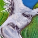 konik3