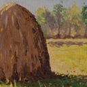 Kopa siana