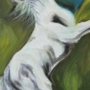 konik10