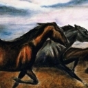 Mustangi.