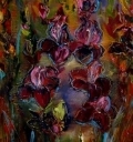Mieczyki
