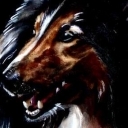 Collie