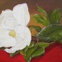 Magnolia