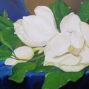 Magnolia II