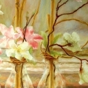 Ratan i magnolie