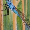 Ważka II