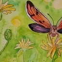Motyl I